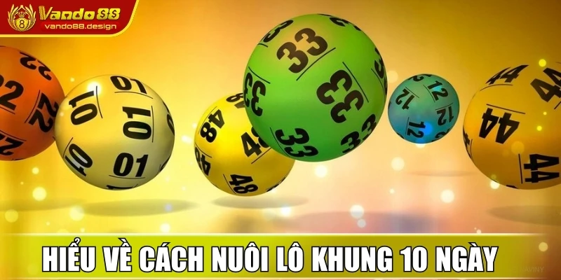 Cách Nuôi Lô Khung 10 Ngày An Toàn, Thắng Lớn Tại Vando88 1 Người chơi hiểu thế nào về cách nuôi lô khung 10 ngày