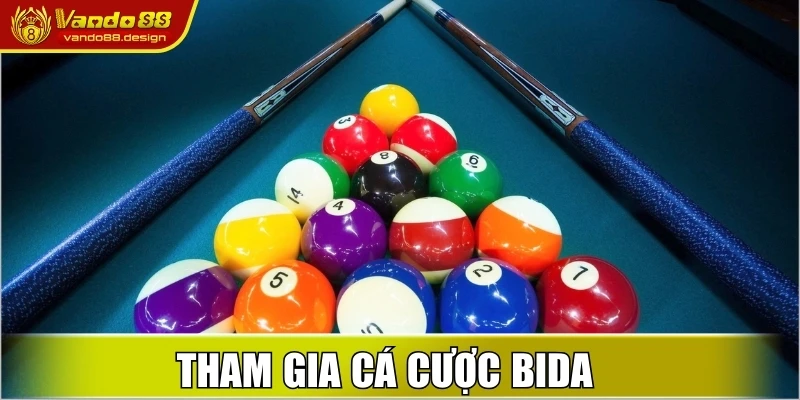 Tham gia cá cược Bida